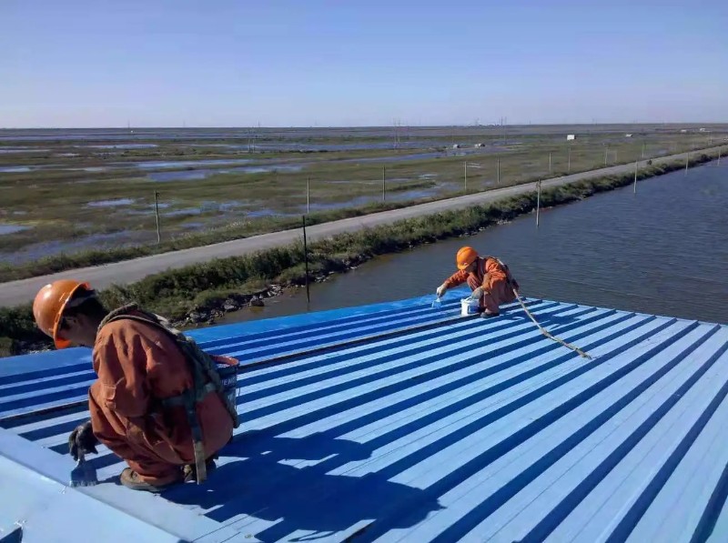 周宁钢结构屋面漏水原因